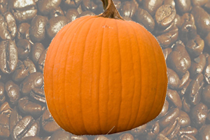 Experience the flavors of autumn - warm nutmeg and 
cinnamon notes